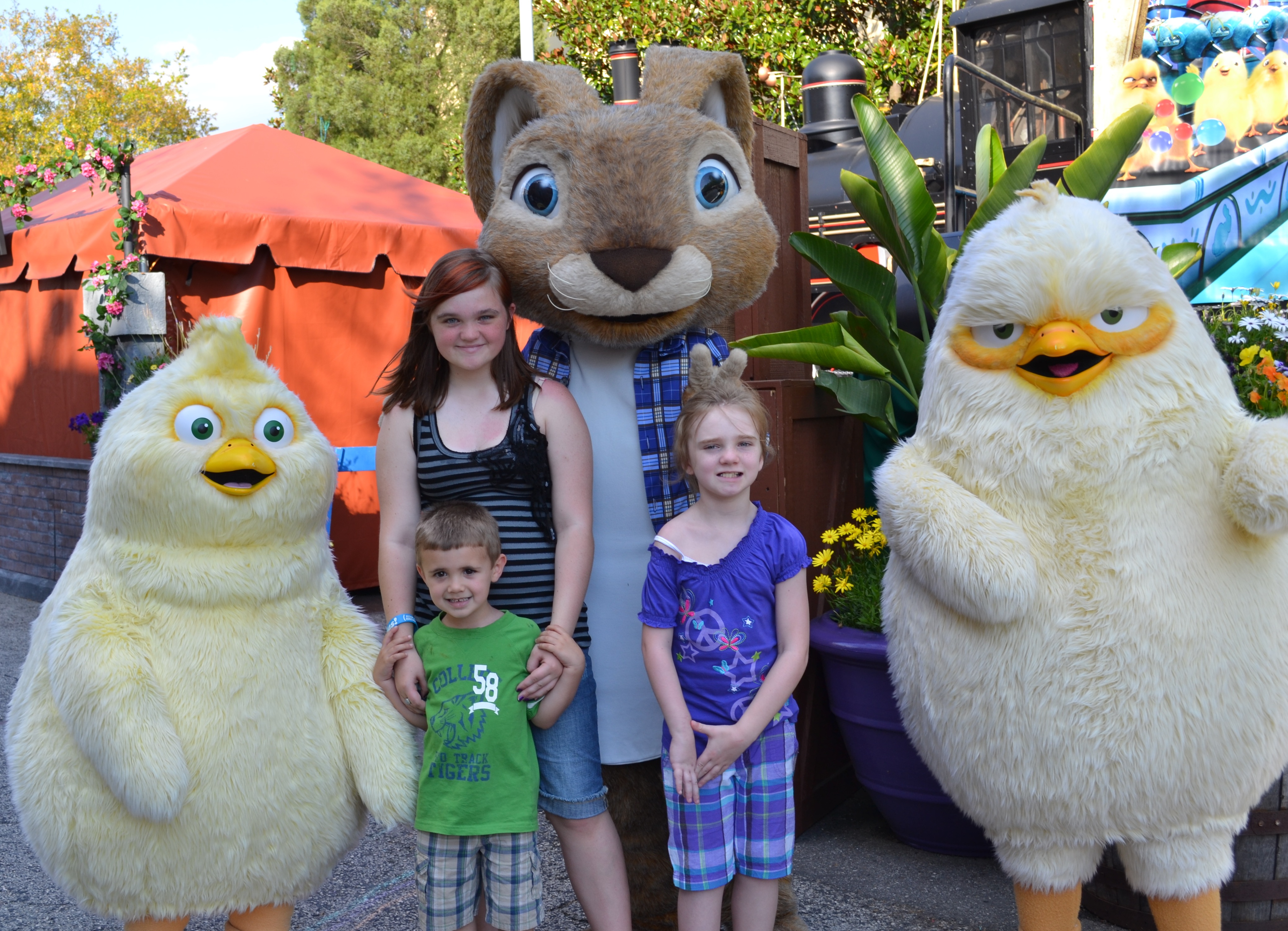HOP, Universal Studios, They Call Me T