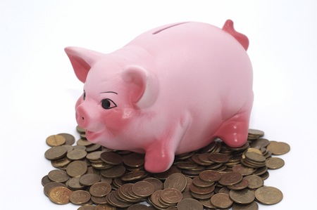 piggy bank