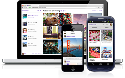 Document & Share Life Through Photos with Seahorse App