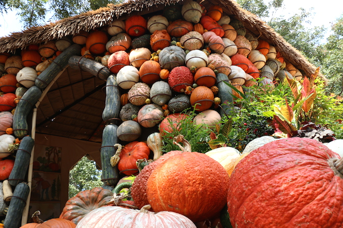 pumpkin hut