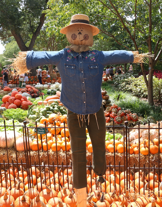fall festival