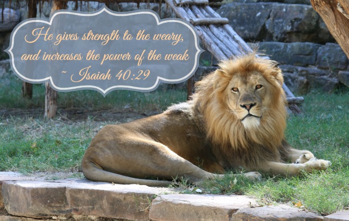 5 Scriptures When You Need Energy