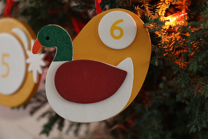 The 6th Day of Christmas with ProFlowers