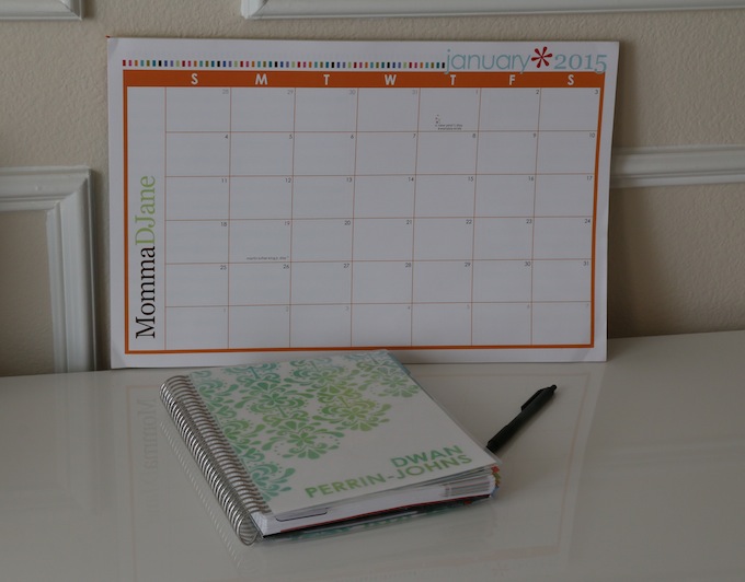 2015 Planning with Erin Condren