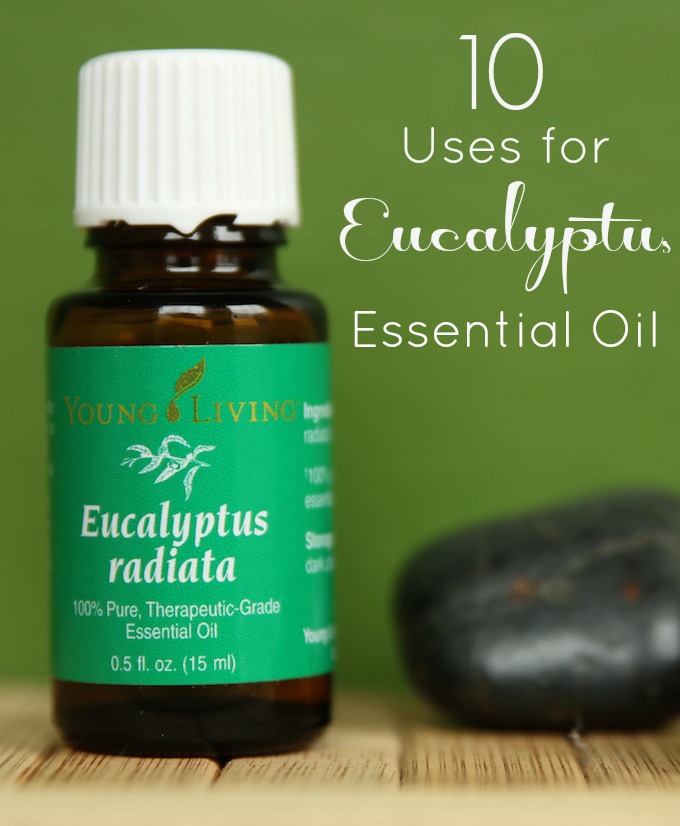 10 Uses for Eucalyptus Essential Oil