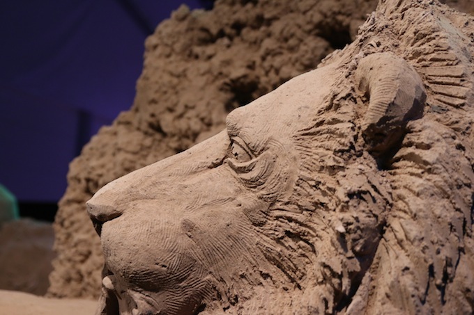 Lion