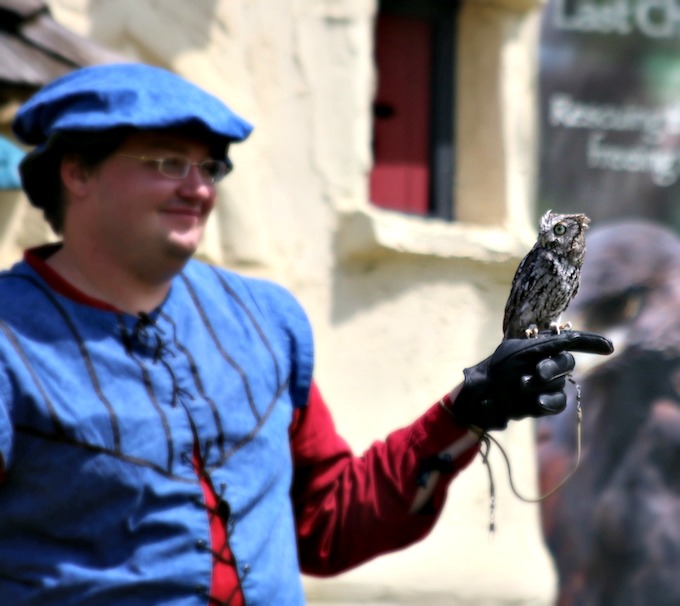 owl