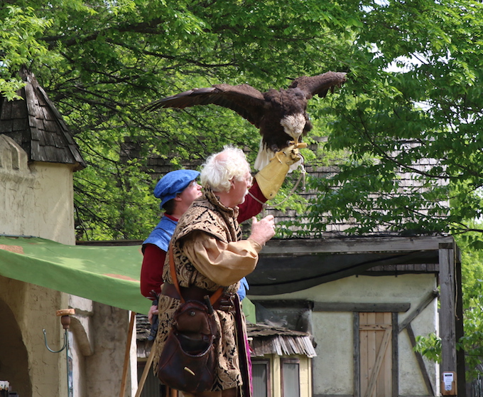 eagle show
