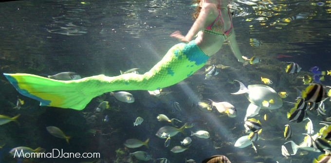Mermaid DSLR 3