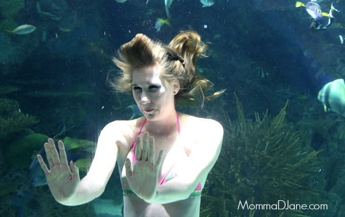 Mermaid DSLR