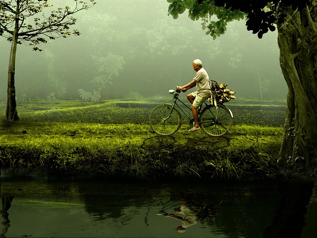 Gap Year Ideas for Nature Lovers & Adventure Seekers