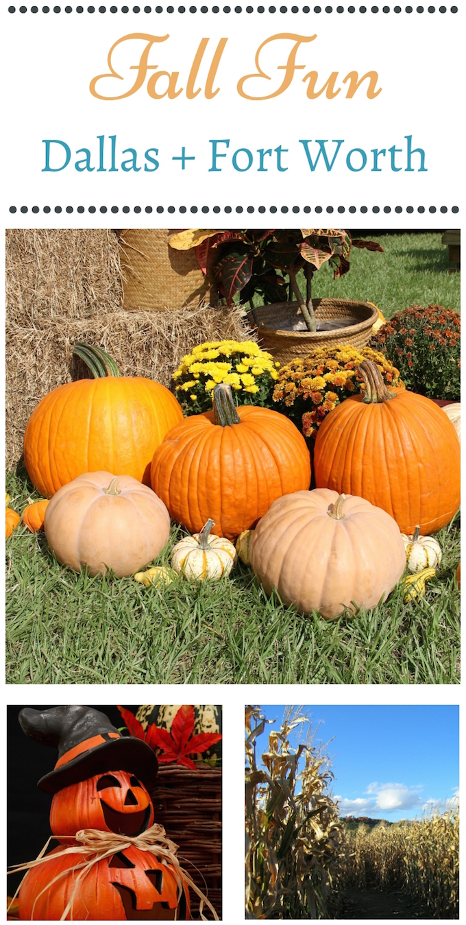 Top Fall Activities in Dallas + Fort Worth