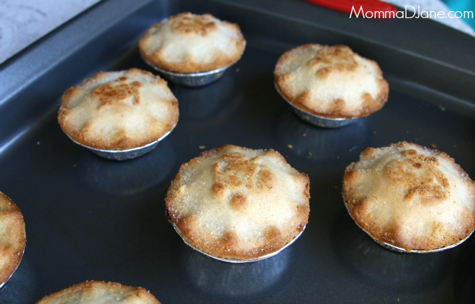 Fruit Pies for Oven