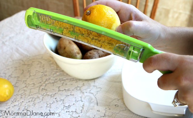 Lemon Zester