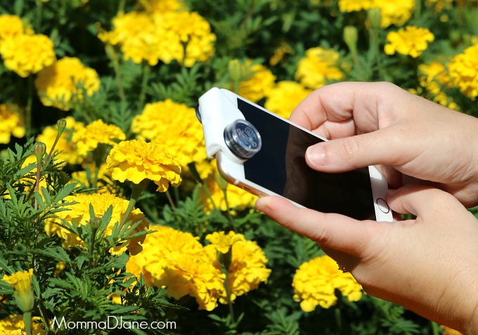 Capturing the Tiny Details with olloclip – iPhone Photography