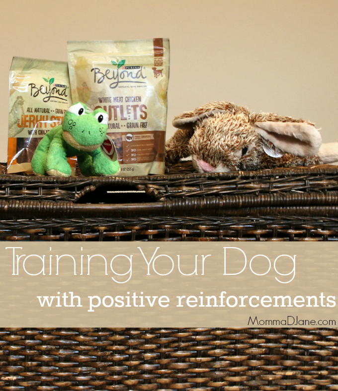 Training Your Dog with Positive Reinforcements