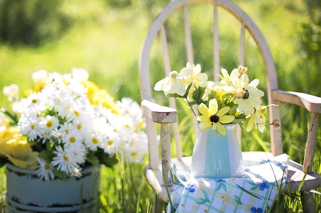 5 Ways to Create a Low Maintenance Garden