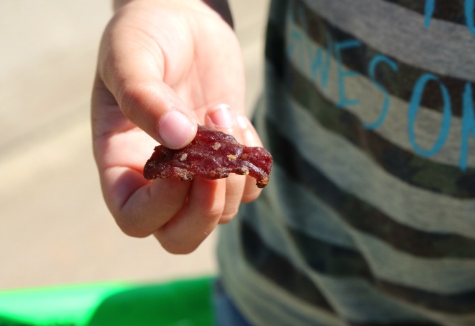 Lorissa's Beef Jerky