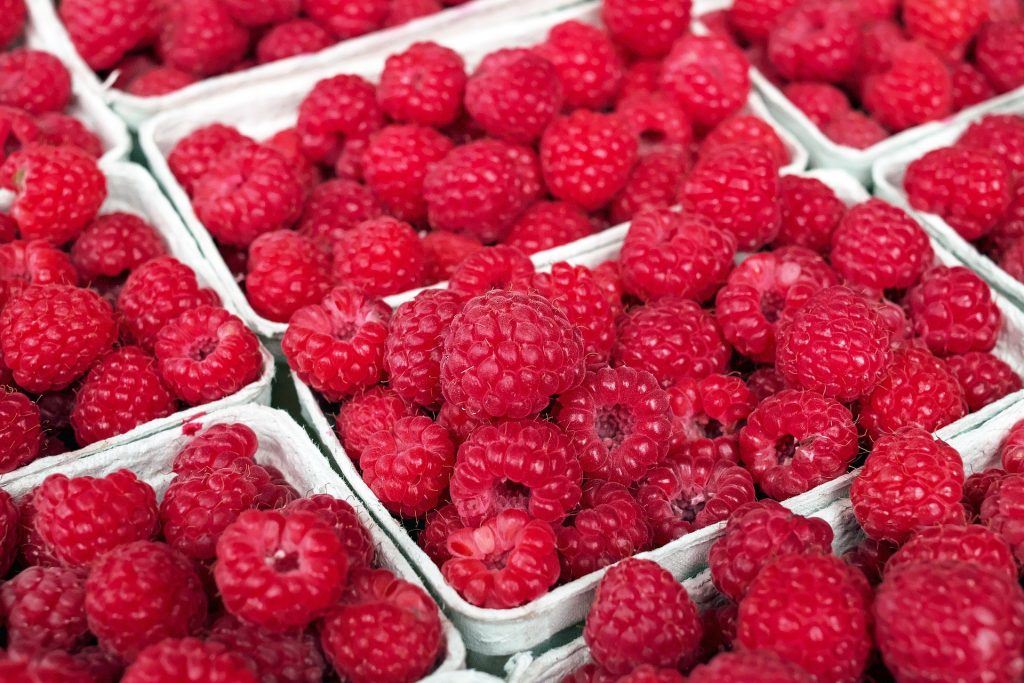 raspberry-1465988_1920