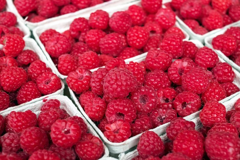 6 Reasons It’s Time to Start Buying Organic Foods