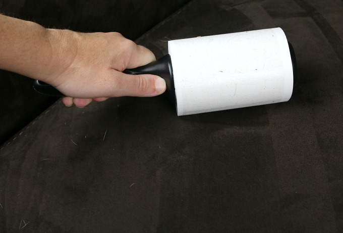 lint-roll-dog-hair