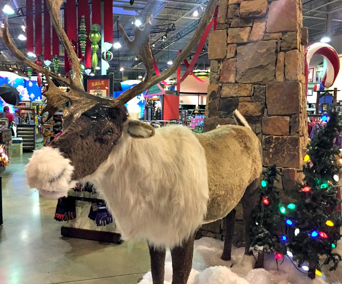 talking-reindeer
