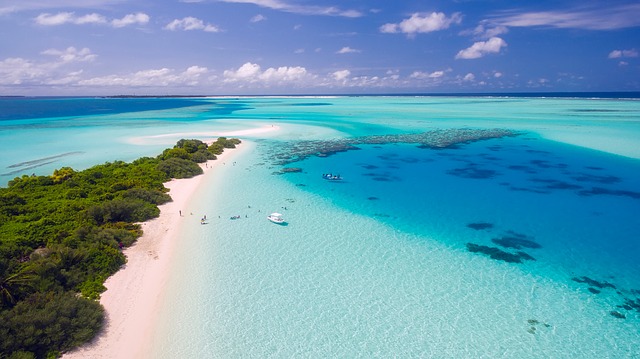 Why Are Travel Vaccinations Important?