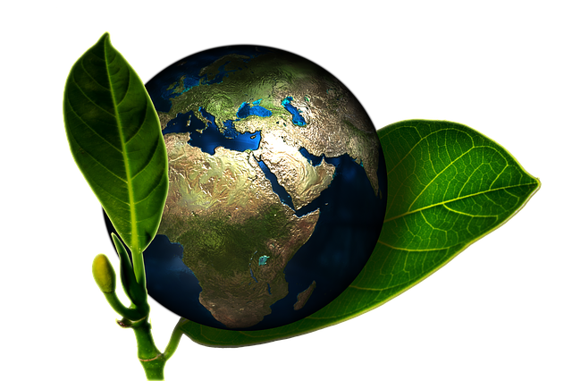 Different Shades of Green: Ways to go Greener as a Family