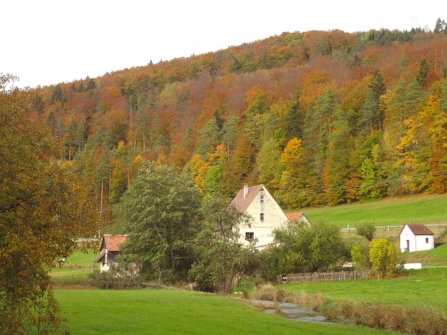 Plan Now to Tune Things Up for Fall