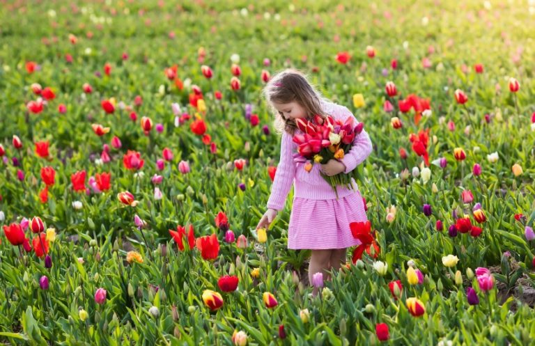 31 Fun Things to Do in March with the Family