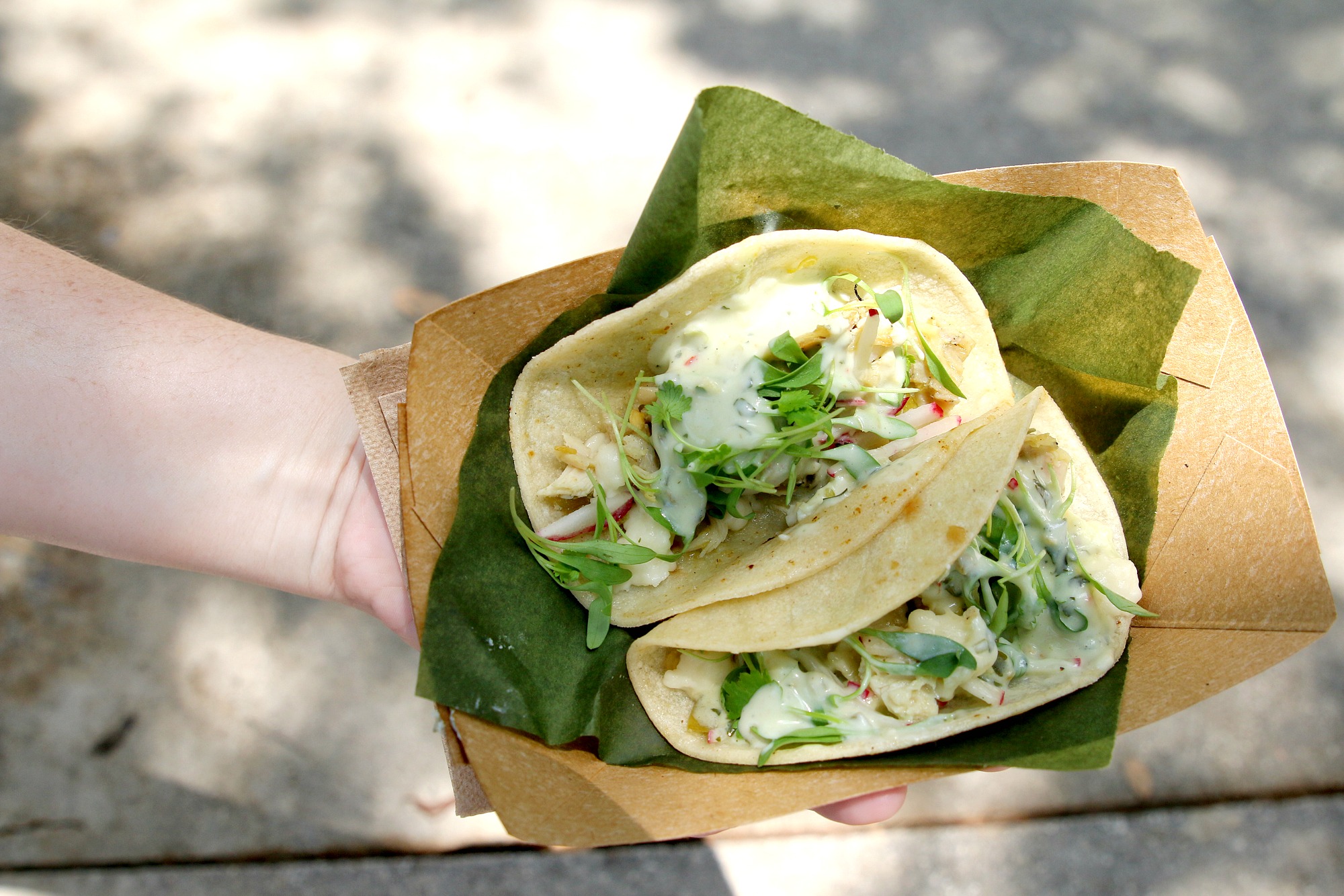 chicken tacos from SeaWorld food festival