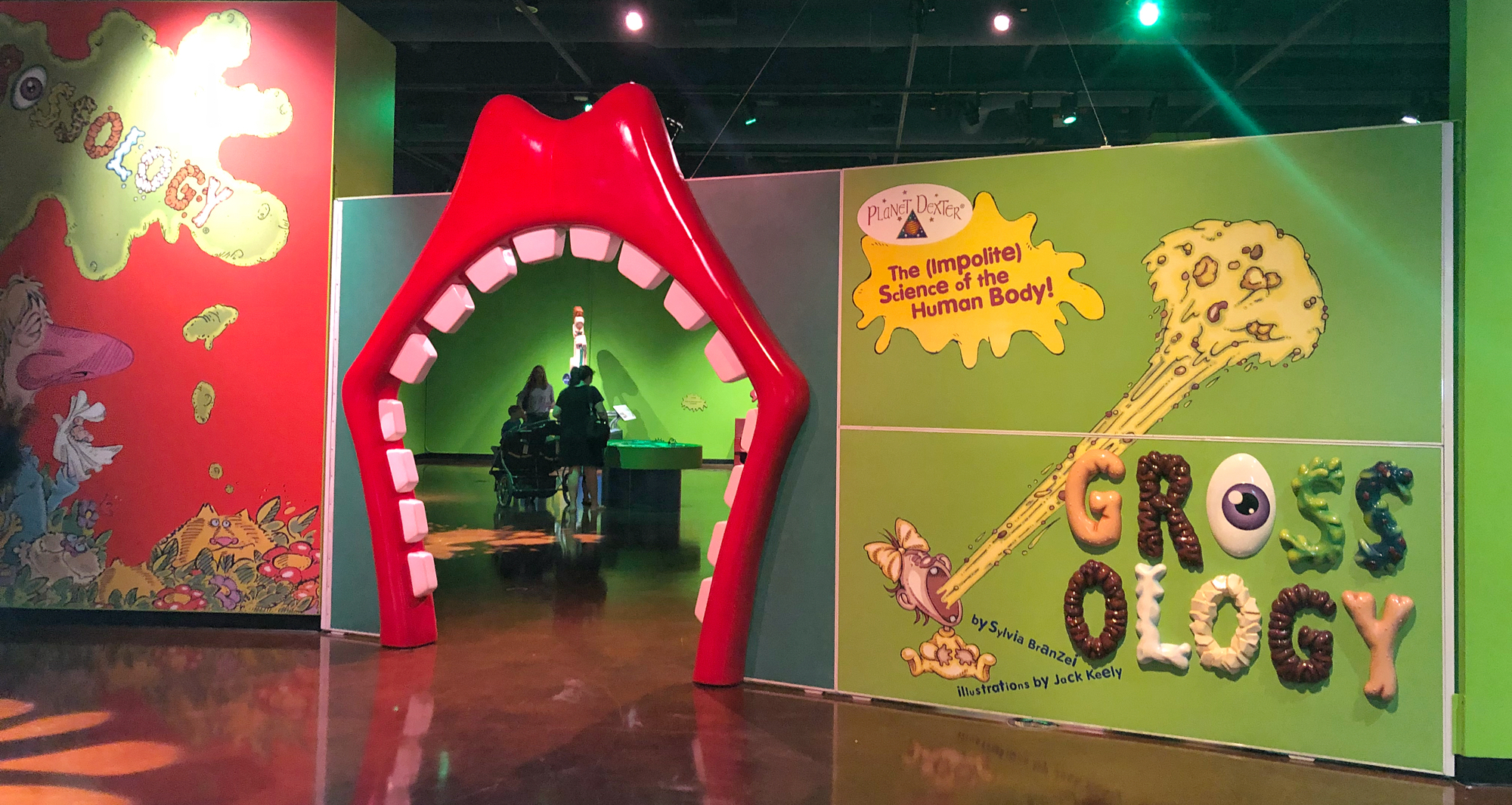 Human Grossology exhibit at Fort Worth Museum