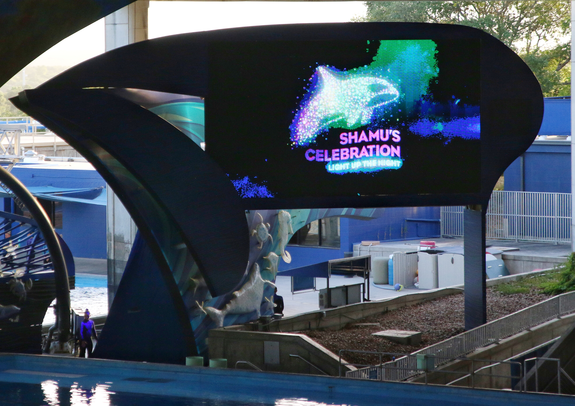 Shamu's Celebration