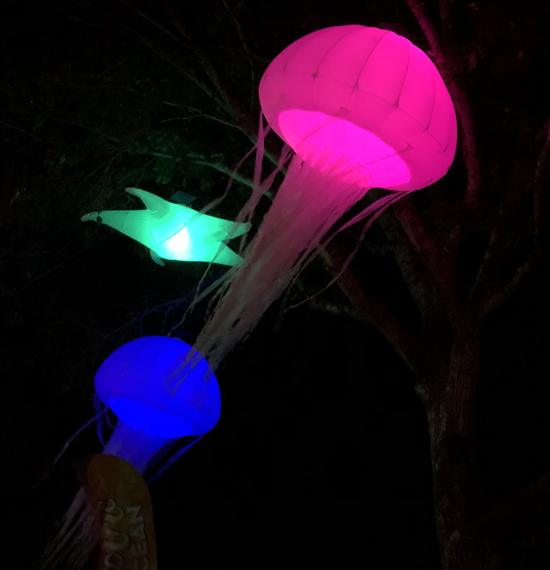 glowing sea decor on trees