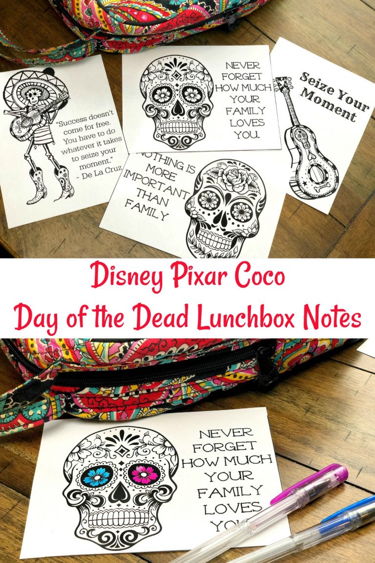 Disney Pixar Coco Inspired Day of the Dead Lunchbox Notes