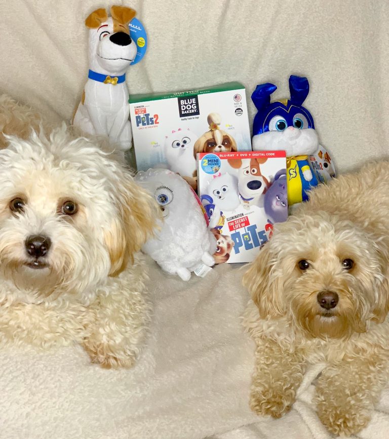 Host a Movie Night with The Secret Life of Pets 2