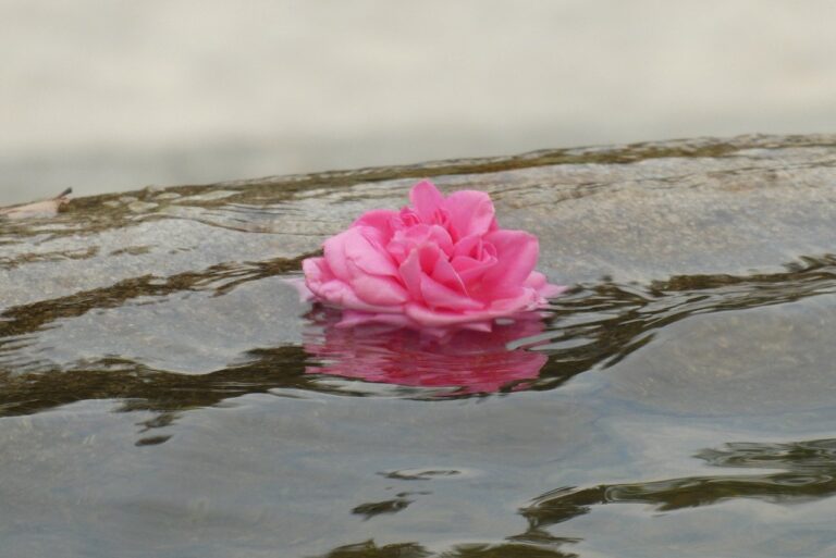 Managing Grief: How to Cope With the Sudden Loss of a Parent
