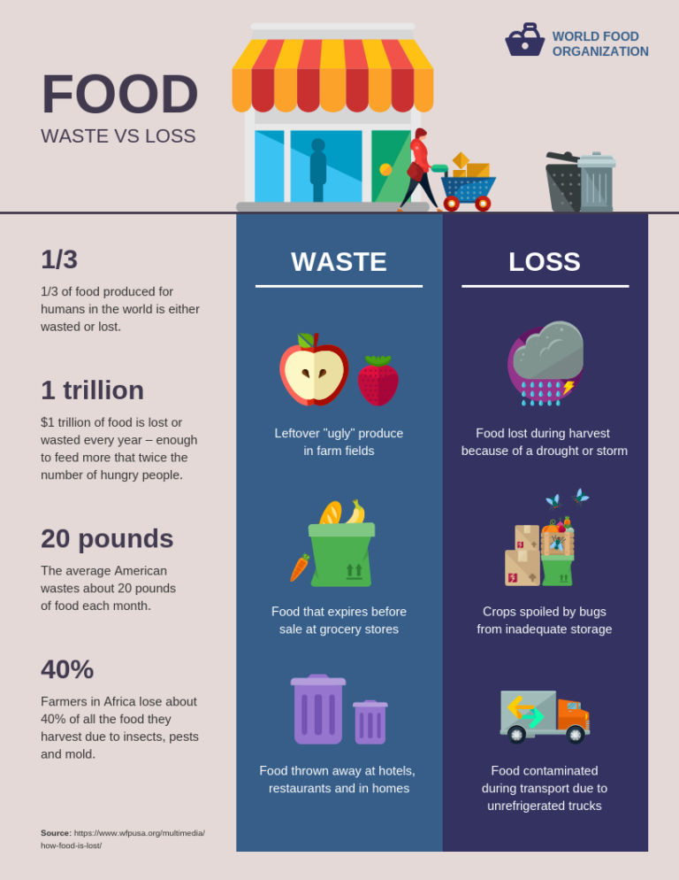 How To Create an Infographic That Promotes Your Dishes